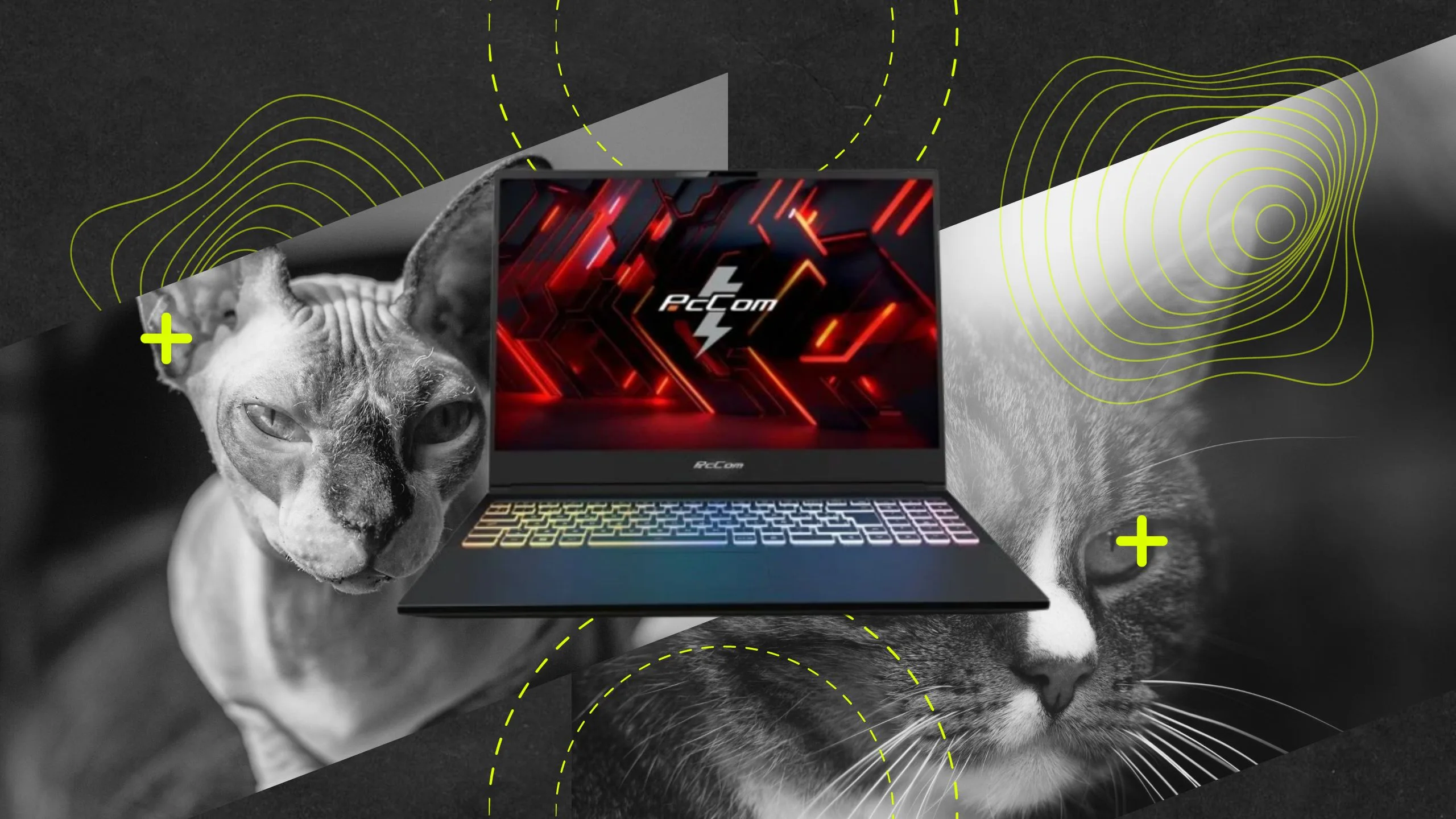PcComponentes sorprende con una rebaja extraordinaria de casi 1.000 € en este potente portátil premium de 2 TB y 32 GB