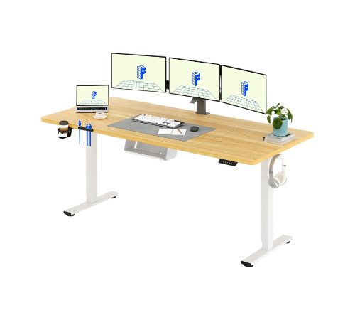 CHOLLAZO FLASH: FLEXISPOT Escritorio Elevable